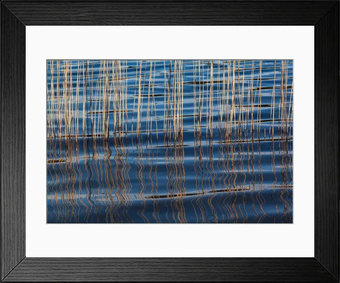 Framed Print : Waves betweeen a reed at Idroscalo lake, Milan, Lombardy, Italy Framed Print : Waves betweeen a reed at Idroscalo lake, Milan, Lombardy, Italy