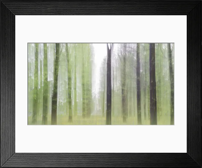 Framed Print : A creative photograph during spring season at Idroscalo park, Milan, Lombardy, Italy Framed Print : A creative photograph during spring season at Idroscalo park, Milan, Lombardy, Italy
