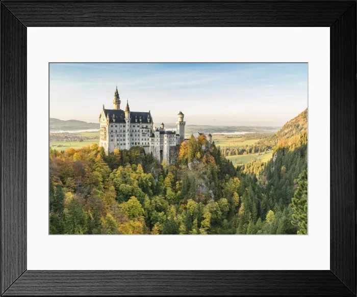 Framed Print : Neuschwanstein castle surrounded by coloured fir trees. Schwangau, Schwaben, Bavaria Framed Print : Neuschwanstein castle surrounded by coloured fir trees. Schwangau, Schwaben, Bavaria