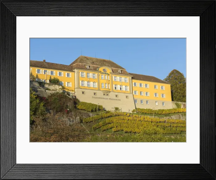 Framed Print : The town winery with its vineyard. Meersburg, Baden-Wurttemberg, Germany Framed Print : The town winery with its vineyard. Meersburg, Baden-Wurttemberg, Germany