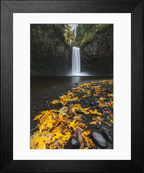 Framed Print : Abiqua Falls in autumn. Scotts Mills, Marion county, Oregon, USA