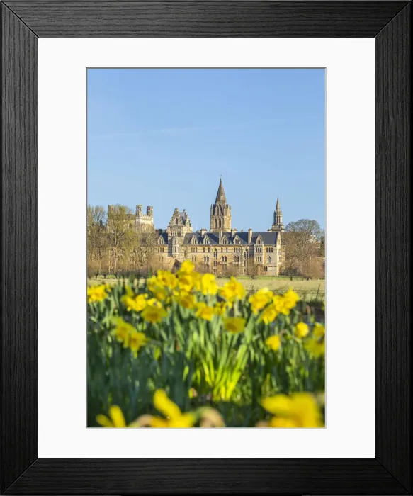 Framed Print : Christchurch college, Oxford, Oxfordshire, England Framed Print : Christchurch college, Oxford, Oxfordshire, England
