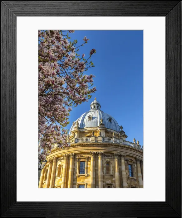 Framed Print : The Radclife Camera, Oxfordshire, England Framed Print : The Radclife Camera, Oxfordshire, England