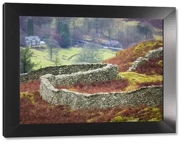 Curving dry stone wall on Loughrigg Fell near Ambleside, Lake District National Park