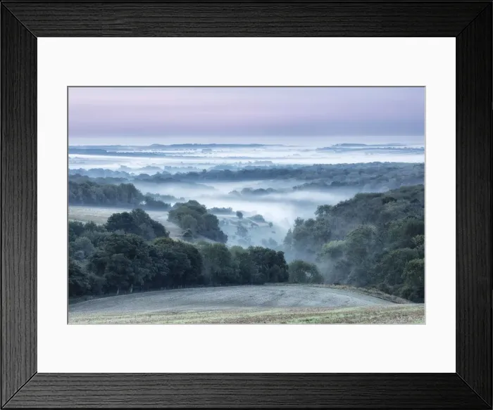 Framed Print : Dawn over Cranborne Chase from Trow Down, Wiltshire, England, UK Framed Print : Dawn over Cranborne Chase from Trow Down, Wiltshire, England, UK