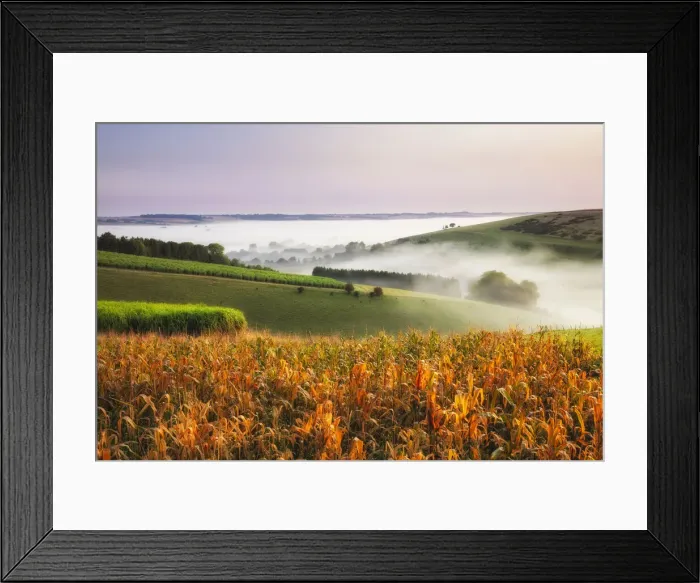 Framed Print : Dawn from Woodminton Down, West Wiltshire Downs, Wiltshire, England, UK Framed Print : Dawn from Woodminton Down, West Wiltshire Downs, Wiltshire, England, UK