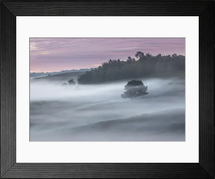 Framed Print : Dawn in the New Forest National Park at Rockford Common, Hampshire, England, UK Framed Print : Dawn in the New Forest National Park at Rockford Common, Hampshire, England, UK