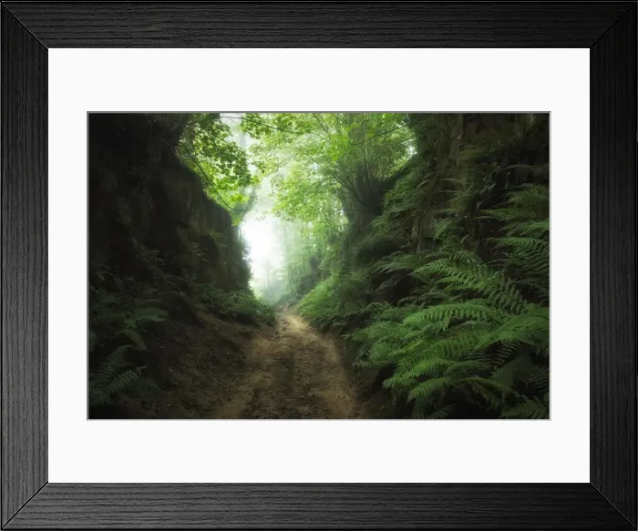 Framed Print : Shutes Lane, Sunken Lane (Holloway), Symondsbury, Bridport, Dorset, England, UK Framed Print : Shutes Lane, Sunken Lane (Holloway), Symondsbury, Bridport, Dorset, England, UK