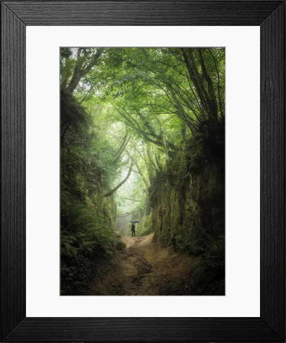 Framed Print : Person walking along Shutes Lane, Sunken Lane (Holloway), Symondsbury, Bridport, Dorset Framed Print : Person walking along Shutes Lane, Sunken Lane (Holloway), Symondsbury, Bridport, Dorset