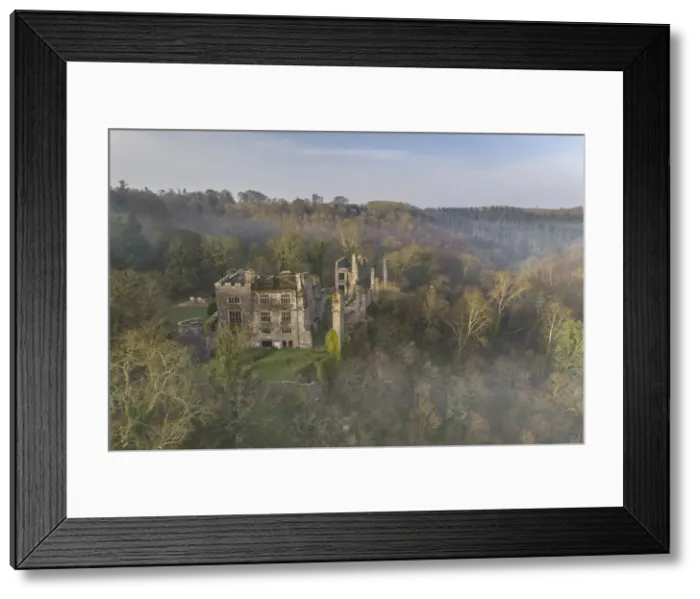 Framed Print : Aerial vista of the ruins of Berry Pomeroy Castle at dawn, South Hams, Devon, England Framed Print : Aerial vista of the ruins of Berry Pomeroy Castle at dawn, South Hams, Devon, England