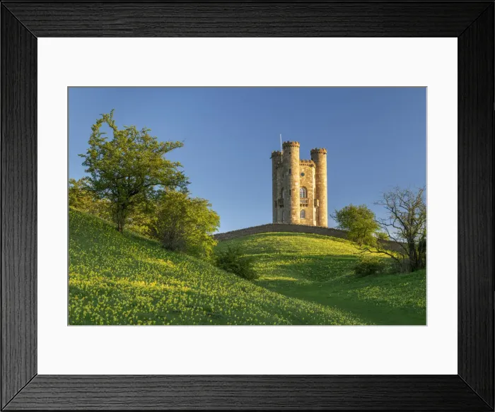 Framed Print : Cowslip (Primula Veris) wildflower meadow by Broadway Tower in the Cotswolds Framed Print : Cowslip (Primula Veris) wildflower meadow by Broadway Tower in the Cotswolds