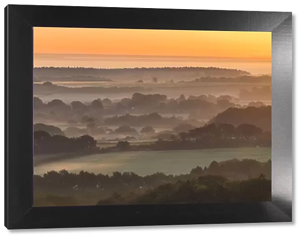 Misty Landscape, near Corfe Castle, Dorset, England