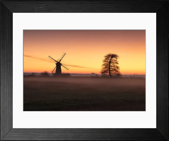 Framed Print : St. Benets Mill & Tree at Sunset, Norfolk Broads National Park, Norfolk, England