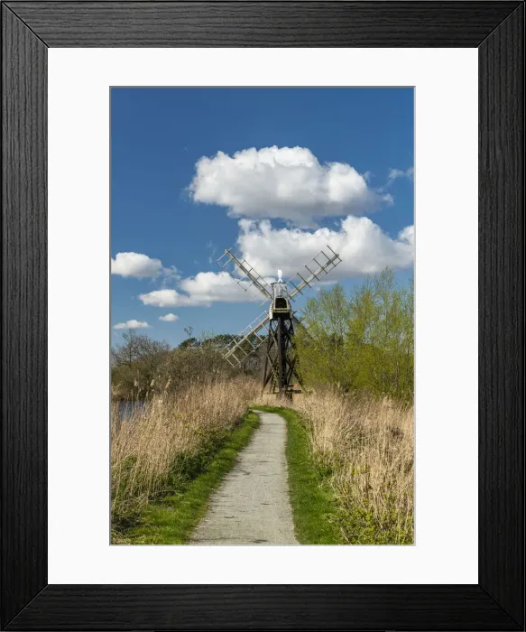Framed Print : Boardmans Mill (Skeleton Mill), Norfolk Broads National Park, England Framed Print : Boardmans Mill (Skeleton Mill), Norfolk Broads National Park, England