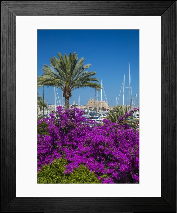 Framed Print : Cathedral La Seu & harbour, Palma, Mallorca, Balearic Islands, Spain Framed Print : Cathedral La Seu & harbour, Palma, Mallorca, Balearic Islands, Spain