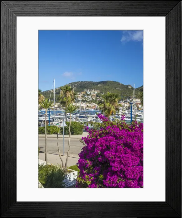 Framed Print : Port d Andratx, Mallorca, Balearic Islands, Spain