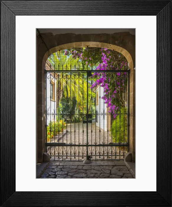 Framed Print : Private courtyard in Palma, Mallorca, Balearic Islands, Spain Framed Print : Private courtyard in Palma, Mallorca, Balearic Islands, Spain