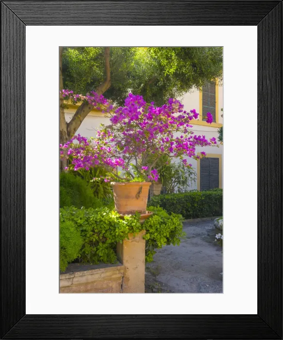 Framed Print : Banys Arabs (Arab Baths), Palma, Mallorca, Balearic Islands, Spain