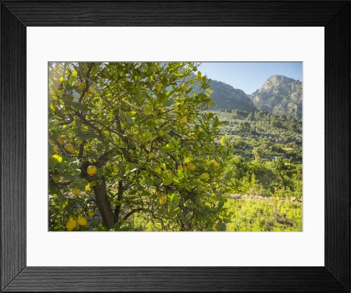 Framed Print : Fornalutx, Serra de Tramuntana, Mallorca, Balearic Islands, Spain Framed Print : Fornalutx, Serra de Tramuntana, Mallorca, Balearic Islands, Spain