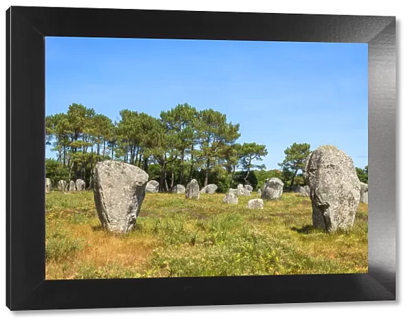 Menhirs of Carnac, Departement Morbihan, Brittany, France
