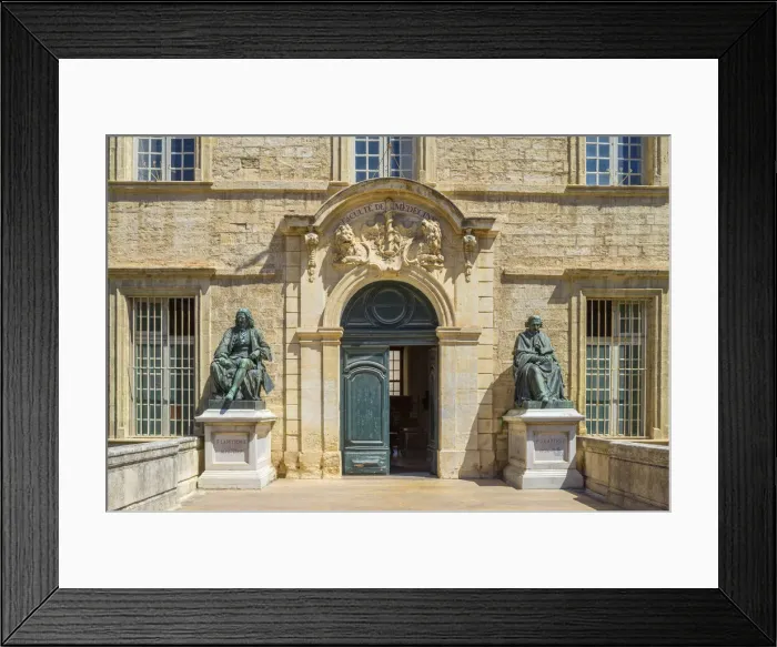 Framed Print : Medical faculty main entrance, Montpellier, Longuedoc-Roussillon, Herault, France Framed Print : Medical faculty main entrance, Montpellier, Longuedoc-Roussillon, Herault, France