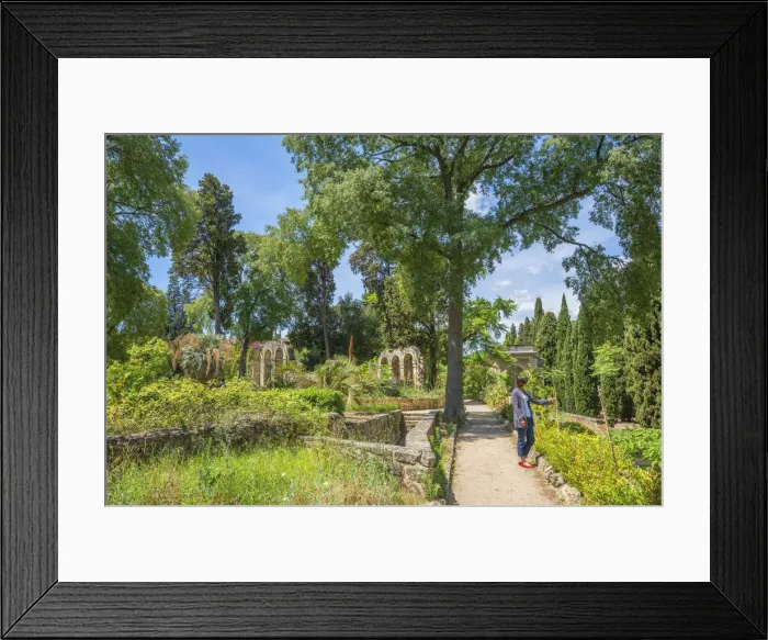 Framed Print : Botanical garden with tourist, Montpellier, Longuedoc-Roussillon, Herault, France Framed Print : Botanical garden with tourist, Montpellier, Longuedoc-Roussillon, Herault, France