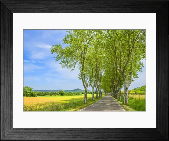 Framed Print : Alley near Uzes, Gard, Languedoc-Roussillon, France Framed Print : Alley near Uzes, Gard, Languedoc-Roussillon, France