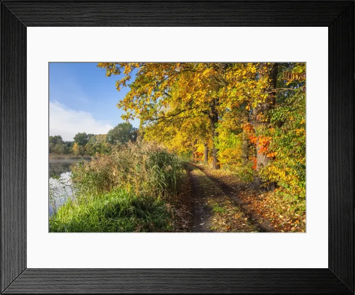 Framed Print : Path in the Upper Lusatian pond landscape in autumn, biosphere reserve, Upper Lusatia Framed Print : Path in the Upper Lusatian pond landscape in autumn, biosphere reserve, Upper Lusatia