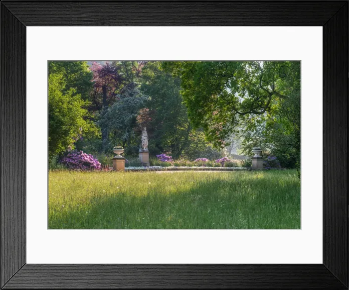 Framed Print : Pillnitz palace gardens, English garden, Dresden, Saxony, Germany Framed Print : Pillnitz palace gardens, English garden, Dresden, Saxony, Germany
