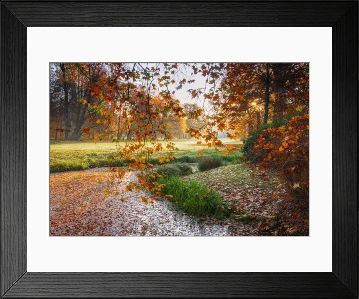 Framed Print : Landscape garden of Fuerst Pueckler, Bad Muskau, UNESCO World Heritage Site, Saxony, Germany, Europe Framed Print : Landscape garden of Fuerst Pueckler, Bad Muskau, UNESCO World Heritage Site, Saxony, Germany, Europe