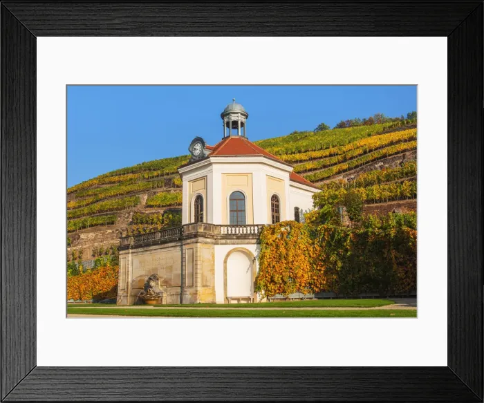 Framed Print : Belvedere of Wackerbarth Castle, in the back vineyards in autumn, saxon wine route Framed Print : Belvedere of Wackerbarth Castle, in the back vineyards in autumn, saxon wine route