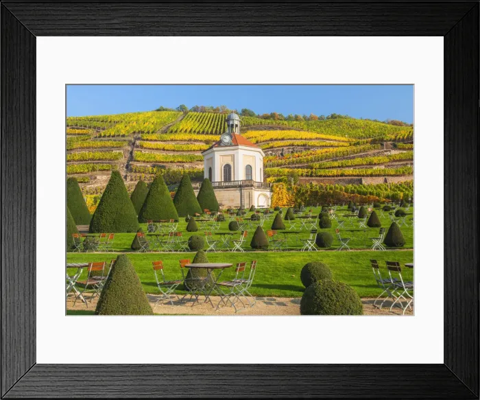 Framed Print : Belvedere and Garden of Wackerbarth Castle, in the back vineyards in autumn