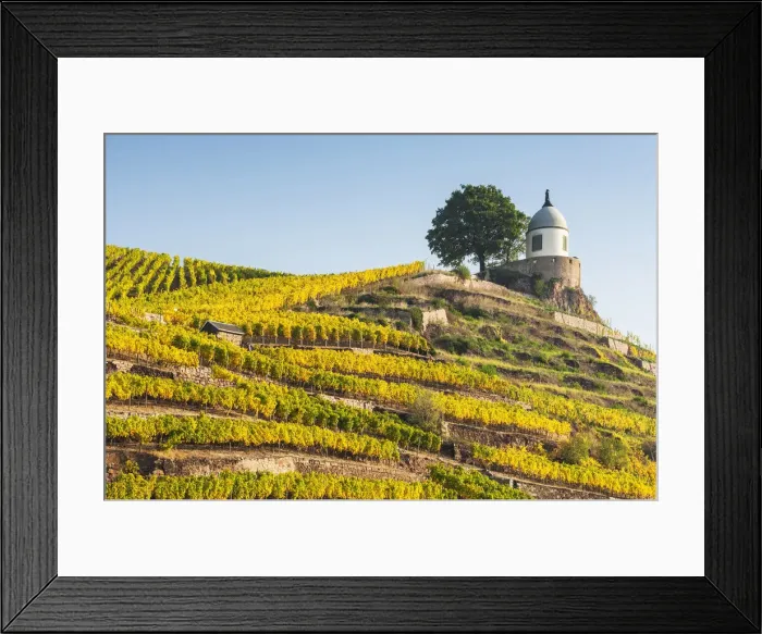 Framed Print : Jacobstein vineyard pavilion at Wackerbarth castle in autumn, , Radebeul, Elbe valley Framed Print : Jacobstein vineyard pavilion at Wackerbarth castle in autumn, , Radebeul, Elbe valley