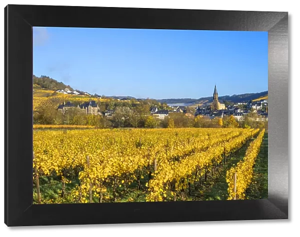 Vineyards with Lieser, Mosel valley, Rhineland-Palatinate, Germany