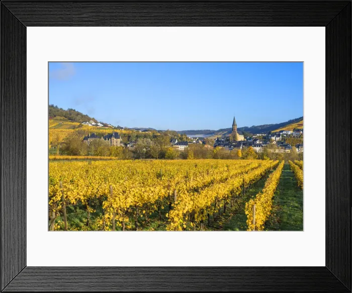 Framed Print : Vineyards with Lieser, Mosel valley, Rhineland-Palatinate, Germany Framed Print : Vineyards with Lieser, Mosel valley, Rhineland-Palatinate, Germany