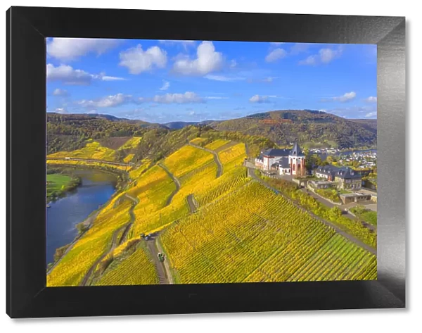 Aerial view at the Marienburg near Zell, Mosel valley, Rhineland-Palatinate, Germany