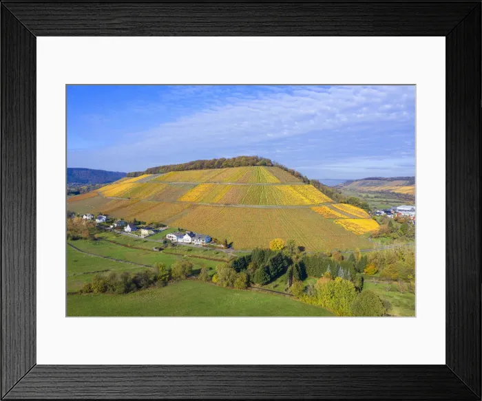 Framed Print : Aerial view at the Ayler Kupp vineyard near Saarburg, Rhineland-Palatinate, Germany Framed Print : Aerial view at the Ayler Kupp vineyard near Saarburg, Rhineland-Palatinate, Germany