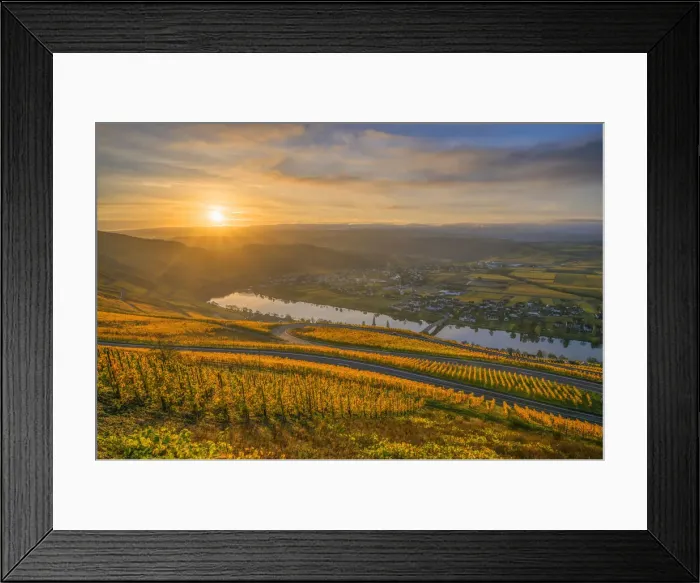 Framed Print : Sunrise above the vineyards of Piesport, Mosel valley, Rhineland-Palatinate, Germany Framed Print : Sunrise above the vineyards of Piesport, Mosel valley, Rhineland-Palatinate, Germany