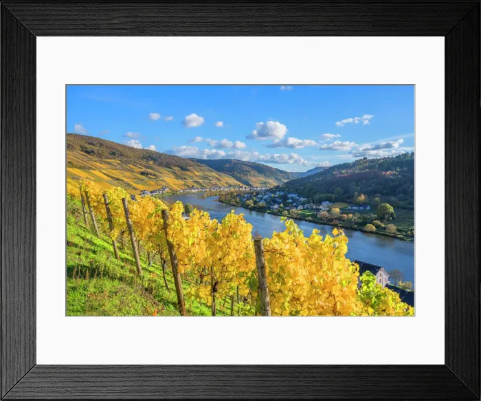 Framed Print : View at Zell, Mosel valley, Rhineland-Palatinate, Germany Framed Print : View at Zell, Mosel valley, Rhineland-Palatinate, Germany