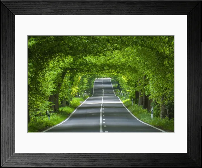 Framed Print : Lime tree avenue near Garz, Ruegen Island, Baltic Sea, Mecklenburg-Western Pomerania