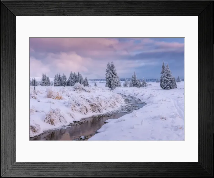 Framed Print : creek in the peat bog in the Bohemian Ore Mountains in winter, Erzgebirge, Bozi Dar Framed Print : creek in the peat bog in the Bohemian Ore Mountains in winter, Erzgebirge, Bozi Dar