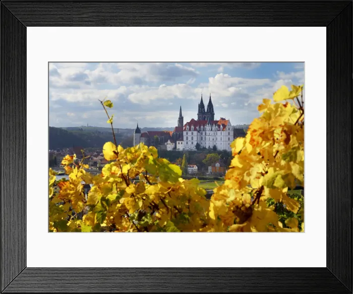 Framed Print : View from the autumn vineyard to Albrechtsburg Meissen, Saxony, Germany, Europe