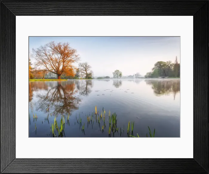 Framed Print : Reflektion lake at Woerlitzer Park, Dessau-Woerlitzer Gardenreich, Unesco World Heritage site, Saxony-Anhalt, Germany Framed Print : Reflektion lake at Woerlitzer Park, Dessau-Woerlitzer Gardenreich, Unesco World Heritage site, Saxony-Anhalt, Germany