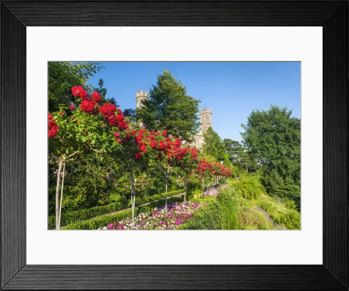 Framed Print : Eckberg castlle and palace garden, Dresden, Saxony, Germany