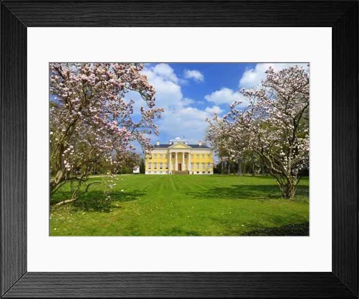 Framed Print : Castle Woerlitzer Park with blooming Magnolia trees, Dessau-Woerlitzer Gartenreich, Unesco World Heritage, Saxony-Anhalt, Germany