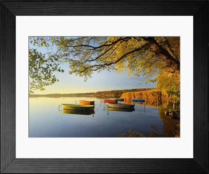 Framed Print : Sunrise with rowing boats at Bestensee in autumn, Dahme-Spreewald nature reserve Framed Print : Sunrise with rowing boats at Bestensee in autumn, Dahme-Spreewald nature reserve