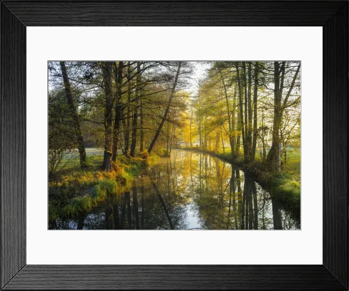 Framed Print : A canal in the Spreewald, Biosphere reserve Spreewald, Brandenburg, Germany, Europe Framed Print : A canal in the Spreewald, Biosphere reserve Spreewald, Brandenburg, Germany, Europe