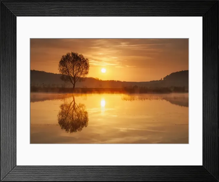 Framed Print : Morning mist over pond, Ilm district, Thuringia, Germany Framed Print : Morning mist over pond, Ilm district, Thuringia, Germany