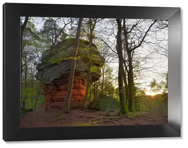 Altschlossfelsen, natural monument, Palatinate Forest, Eppenbrunn, Rhineland-Palatinate