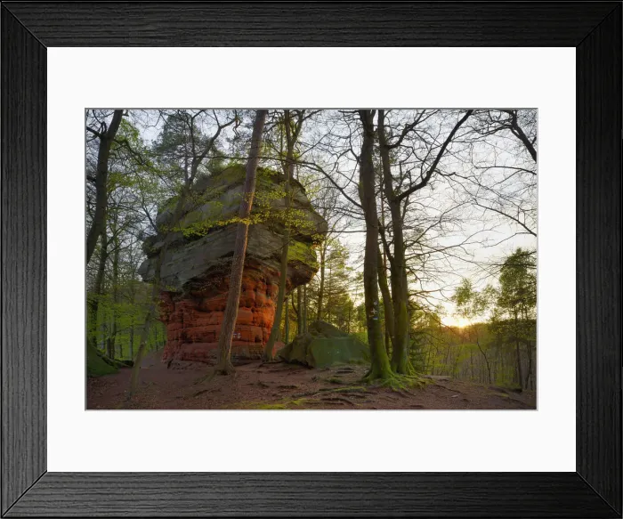 Framed Print : Altschlossfelsen, natural monument, Palatinate Forest, Eppenbrunn, Rhineland-Palatinate Framed Print : Altschlossfelsen, natural monument, Palatinate Forest, Eppenbrunn, Rhineland-Palatinate